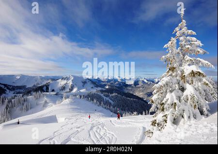 Piste da sci e rifugi innevati a Wallberg, Setzberg sullo sfondo, Wallberg, Tegernseer, Prealpi bavaresi, alta Baviera, Bavaria, G. Foto Stock