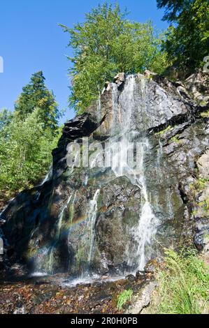 Radau cascata nei pressi di Bad Harzburg, Harz, Bassa Sassonia, Germania Foto Stock