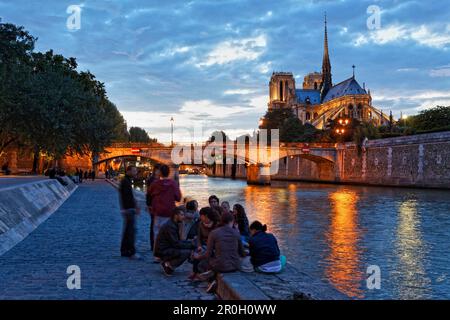 Ile de la Cite, la Senna e la Cattedrale di Notre Dame di sera, Parigi, Francia, Europa Foto Stock