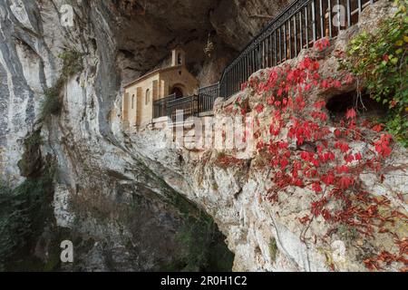 Chiesa di pellegrinaggio e Santa grotta Santa Cueva de Covadega, Covadega, Picos de Europa, Provincia delle Asturie, Principato delle Asturie, Spagna settentrionale, Foto Stock