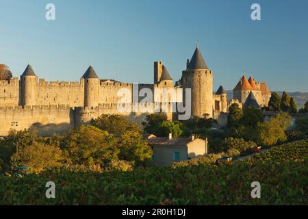 Cite von Carcassonne, centro storico, mura, fortezza, città fortificata, Carcassonne, Patrimonio dell'Umanità dell'UNESCO, Pyrenees Way, Via di San Inceppamento Foto Stock