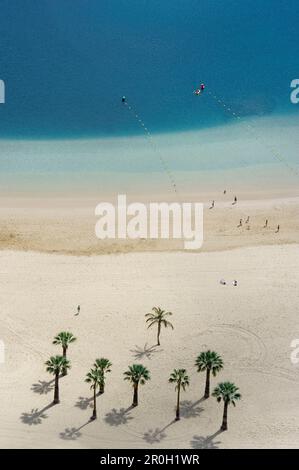 Vista ad angolo alto della spiaggia di sabbia con palme, Playa de las Teresitas, San Andres, Santa Cruz de Tenerife, Tenerife, Isole Canarie, Spagna, Europa Foto Stock
