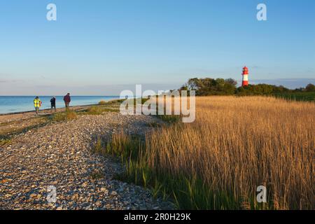 Persone sulla spiaggia di fronte al faro di Falshoeft, vicino a Pommerby, Mar Baltico, Schleswig-Holstein, Germania, Europa Foto Stock