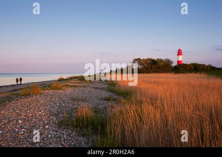 Faro Falshoeft nella luce della sera, Pommerby, Mar Baltico, Schleswig-Holstein, Germania, Europa Foto Stock