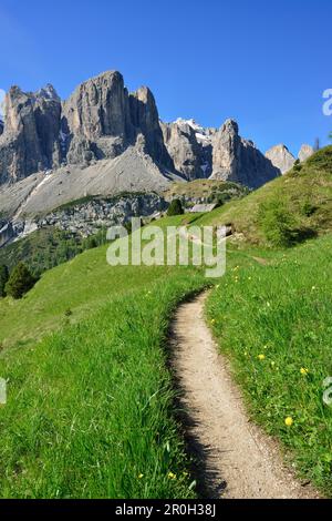 Sentiero che porta verso la gamma del Sella, Sella, Dolomiti, sito patrimonio dell'umanità dell'UNESCO Dolomiti, Alto Adige, Italia Foto Stock