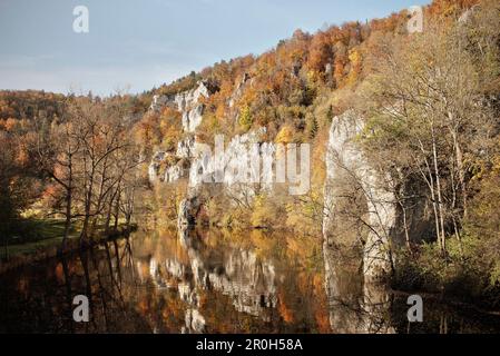 Fiume Danubio in autunno, Donautal superiore intorno a Beuron, Landkreis Sigmaringen, Svevo, Baden-Wuerttemberg, Germania Foto Stock