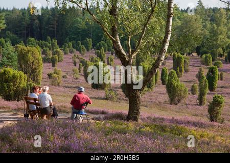 Persone che riposano su una panchina, Lueneburg Heath, bassa Sassonia, Germania, Europa Foto Stock