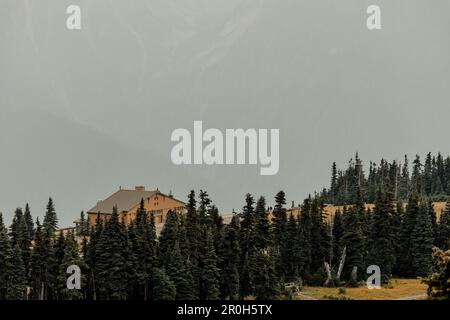 Washington, USA-14 settembre 2022: Vista ad angolo alto dell'Olympic National Park Hurricane Ridge Day Lodge, centro visitatori mesi prima che venisse bruciato fino a t. Foto Stock