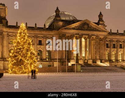 Platz der Republik alla luce della sera con edificio del Reichstag, albero di Natale, Berlino, Germania Foto Stock