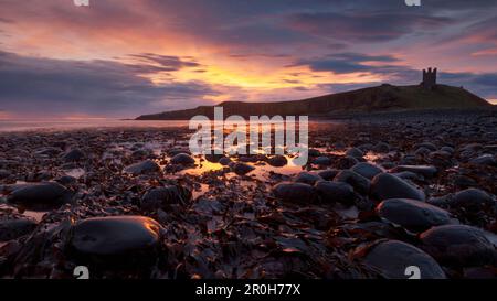 Spettacolare alba sulle rovine dei Castelli di Dunstanburgh a Northumberland, Inghilterra, Gran Bretagna Foto Stock