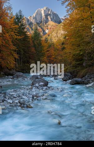 Vista dell'imponente montagna Jerebica (2126 m) dalle alture dell'azzurro Koritnica nelle faggete miste autunnali del Triglav Natio Foto Stock