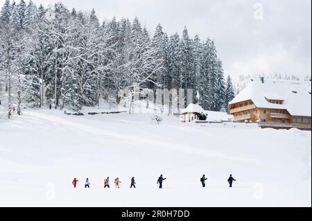 Con le racchette da neve gli escursionisti, Hinterzarten, Foresta Nera, Baden-Wuerttemberg, Germania Foto Stock