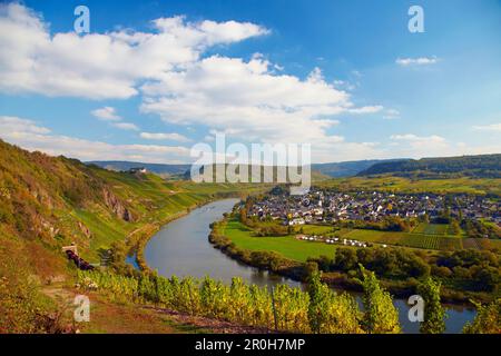 Vista da sopra Prinzenkopf Alf per Puenderich e Marienburg e il fiume Mosel, Renania-Palatinato, Germania, Europa Foto Stock