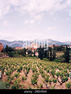 In Spagna, La Rioja, vigneto con case e la gamma della montagna in background Foto Stock