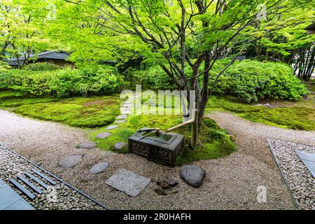 Doji-en al Toyota Municipal Museum of Art - un museo d'arte che ha aperto nel 1995 a Toyota City. L'edificio è stato progettato da Yoshio Taniguchi uno dei Foto Stock