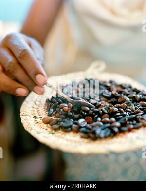 ERITREA, Tio, una donna di nome Sawit prepara il caffè sul lato della strada a Tio Foto Stock