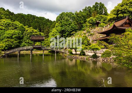 Eiho-ji è un tempio buddista di Rinzai Zen a Tajimi, Gifu e fu fondato nel 1313. Il tempio è un monastero conosciuto per il suo laghetto giardino con un fabulo Foto Stock