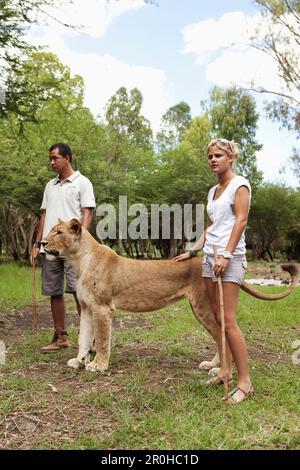 Maurizio, Flic en Flac, turistico, Samantha Luyt dal Sud Africa, sorge a fianco di una leonessa a Casela natura e il parco di divertimenti a western Maurit Foto Stock