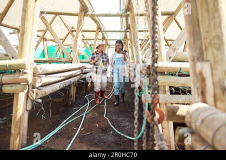 Due agricoltori che trasportano pale da giardino. Coltivatori che camminano attraverso una serra. I colleghi che camminano attraverso la loro fattoria. Agricoltori felici che lavorano insieme. Giovane Foto Stock