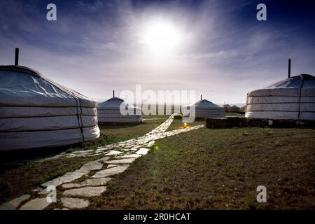 MONGOLIA, campo di Ger nel Parco Nazionale di Gurvansaikhan, tre Camel Lodge, il deserto di Gobi Foto Stock