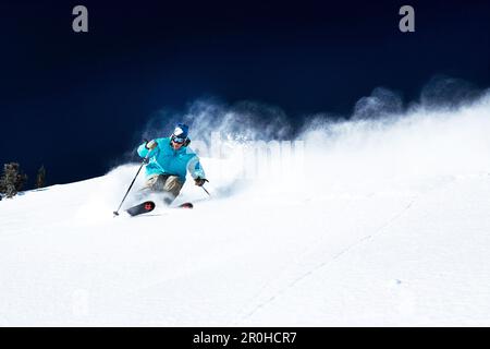 Stati Uniti d'America, Utah, giovane uomo sci Lee's Tree, Alta Ski Resort Foto Stock