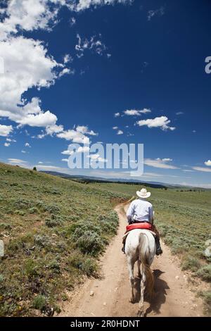 USA, Wyoming, Encampment, un cowboy guida il suo cavallo lungo una lunga strada sterrata, Abara Ranch Foto Stock