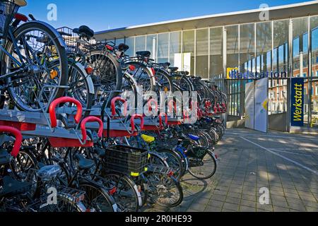 Un sacco di biciclette alla stazione delle biciclette alla stazione principale, Germania, Nord Reno-Westfalia, Munster Foto Stock