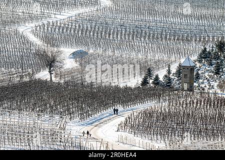 Vista dalla montagna Hermannsberg di frutteti in inverno, Germania, Baviera, Lindau Foto Stock