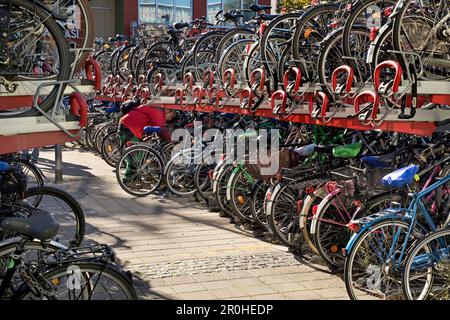 Un sacco di biciclette alla stazione delle biciclette alla stazione principale, Germania, Nord Reno-Westfalia, Munster Foto Stock