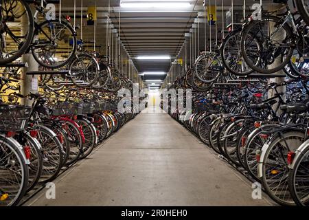 Un sacco di biciclette alla stazione delle biciclette alla stazione principale, Germania, Nord Reno-Westfalia, Munster Foto Stock
