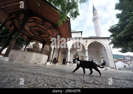 Gazi-Husrev-Beg-Mosque nella città vecchia, Sarajevo, Bosnia ed Erzegovina Foto Stock