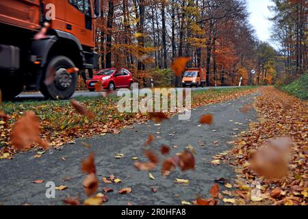 Traffico su una strada di campagna in autum, Germania Foto Stock