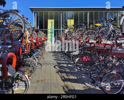 Un sacco di biciclette alla stazione delle biciclette alla stazione principale, Germania, Nord Reno-Westfalia, Munster Foto Stock