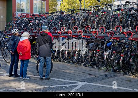 Un sacco di biciclette alla stazione delle biciclette alla stazione principale, Germania, Nord Reno-Westfalia, Munster Foto Stock