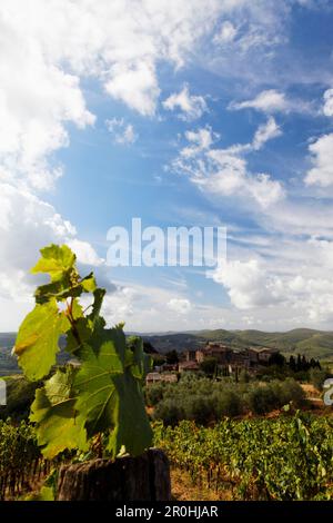 Volpaia, un piccolo villaggio enologico nel Chianti Classico, Toscana, Italia Foto Stock