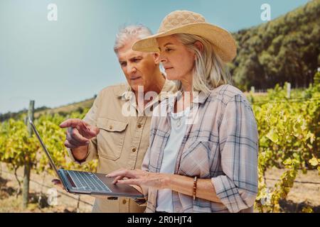 Due grandi agricoltori seri che si levano in piedi e parlano mentre si utilizza il computer portatile su un vigneto. Uomo e donna anziani che puntano alla tecnologia in un'azienda vinicola Foto Stock