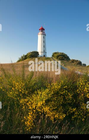 Gola di fronte al faro di Dornbusch, Hiddensee Island, Parco Nazionale Vorpommersche Boddenlandschaft, Mar Baltico, Meclemburgo Pomeran occidentale Foto Stock