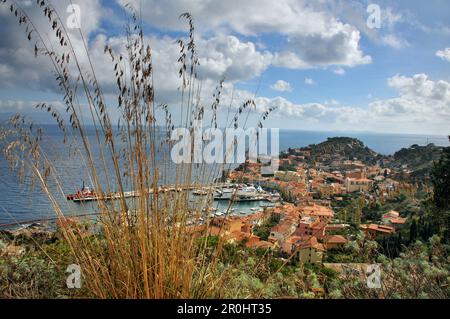 Giglio Porto, Giglio Porto, Isola del Giglio in Mar Tirreno, Toscana, Italia Foto Stock