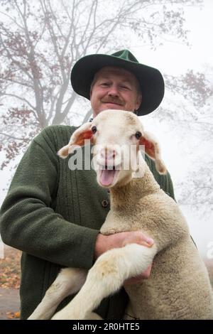 Pastore Alfred Eichhorn, allevamento ovino di Eichhorn, Schernfeld, nei pressi di Eichstaett, Altmuehltal, Franconia, Baviera, Germania Foto Stock