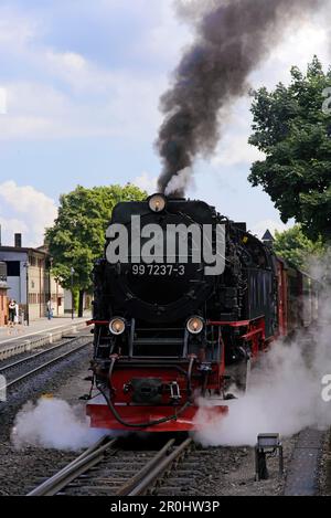 Treno a vapore lasciando Wernigerode Station, Harz, Sassonia-Anhalt, Germania, Europa Foto Stock