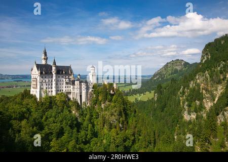 Castello di Neuschwanstein, Hohenschwangau vicino a Fuessen, Allgaeu, Baviera, Germania Foto Stock