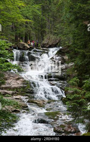 Cascate di Riesloch, Bodenmais, Foresta Bavarese, Baviera, Germania Foto Stock