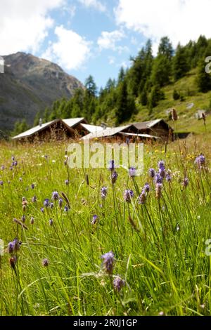 Rifugio alpino e pascolo nei pressi di Soelden, Tirolo, Austria Foto Stock