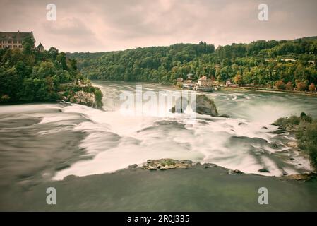 Cascate del Reno e Castello di Laufen, Schaffhausen, Svizzera Foto Stock
