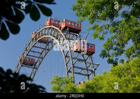 Viennese di ruota panoramica Ferris e il Prater, 2° distretto, Leopoldstadt, Vienna Austria Foto Stock