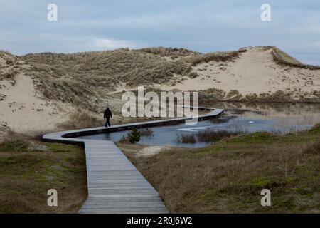 Paesaggio delle dune con una passeggiata sul lungomare tortuosa con una sola persona che cammina su di esso in una nuvolosa giornata invernale, l'isola di Amrum, Schleswig-Holstein, Germania, Europa Foto Stock