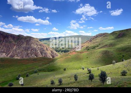 Il paesaggio a sud di Erzurum, Anatolia orientale, orientale della Turchia Turchia Foto Stock