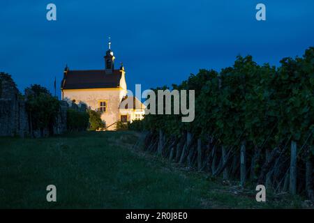 Vines e la cappella di Valentinuskapelle sul vigneto di Kapellenberg al crepuscolo, Frickenhausen, nei pressi di Ochsenfurt, Franconia, Baviera, Germania Foto Stock