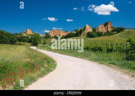 Il paesaggio nei pressi di Loro Ciuffenna, Provincia di Arezzo, Toscana, Italia Foto Stock
