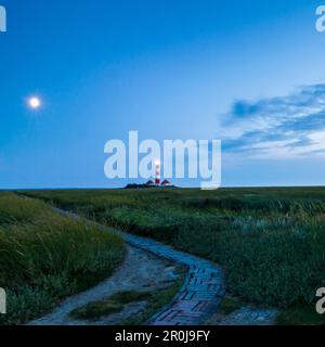 Faro di Westerheversand in serata, Westerhever, mare del Nord, Nordfriesland, Schleswig-Holstein, Germania Foto Stock